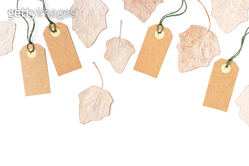 Autumn sale label and dry leaves isolated on white background. Blank ...