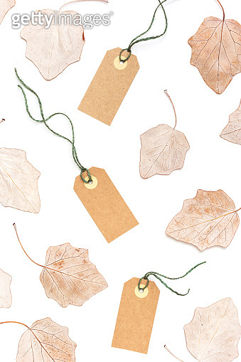 Autumn sale label and dry leaves isolated on white background. Blank ...