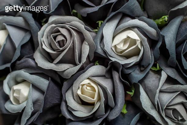 White Roses Back back and white roses hand made from soap 이미지 (1412273124) - 게티이미지뱅크