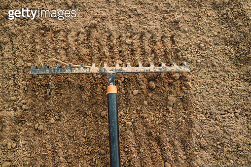 Earth Rake Close up of an new metal garden rake cleaning earth at spring time ...