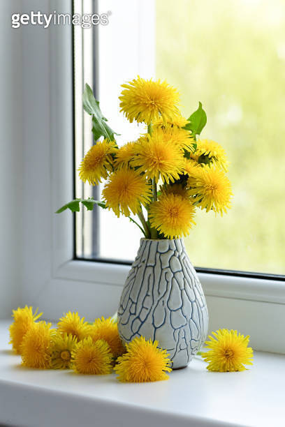 A bouquet of yellow dandelions in a vase on a windowsill, a sunny ...