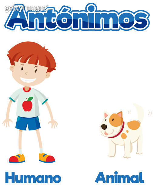 Spanish Antonym Word Card Nuevo and Viejo means new and old 이미지