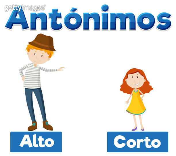 Alto and Corto Antonym Word Card in Spanish means tall and short 이미지 (1746161840) 게티이미지뱅크