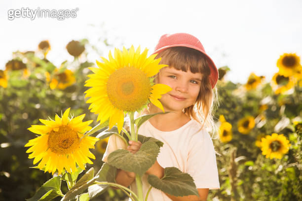 funny little child girl wearing a straw hat with a sunflower in a field ...