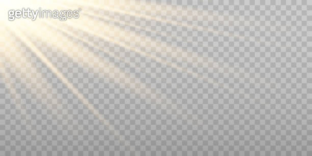 Vector golden sun light effect. Sunrays on transparent background ...