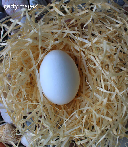 Closeup View Of Single White Egg In A Straw Nest On A Stones Square ...