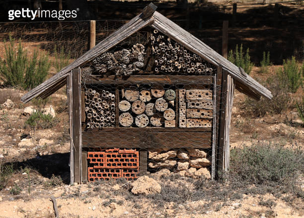 Insect house in the Natural Park of Torrevieja 이미지 (1759400007) - 게티이미지뱅크