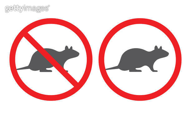 Warning sign stop rat 이미지 (1816896963) - 게티이미지뱅크