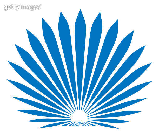 Blue Agave Plant 이미지 (1465322474) 게티이미지뱅크