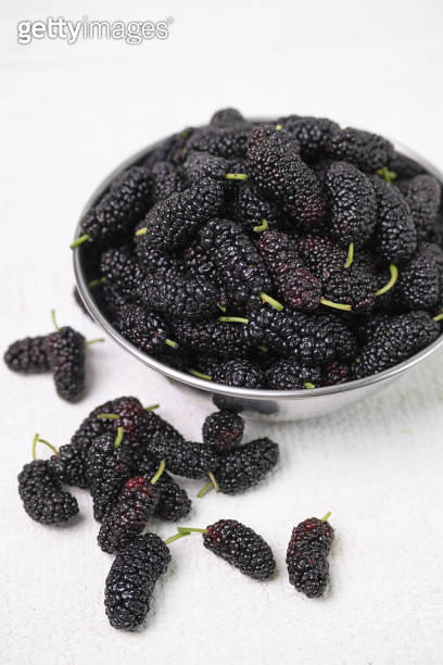 mulberry 이미지 (1459052878) - 게티이미지뱅크
