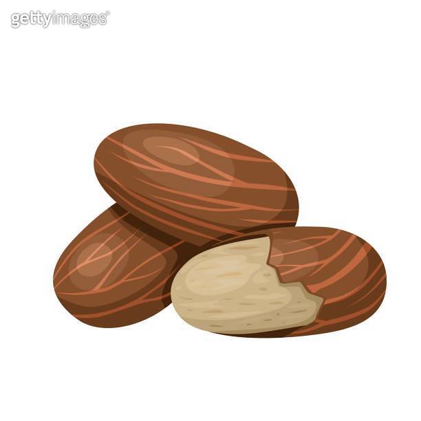 Bitter kola 이미지 (1749052479) 게티이미지뱅크