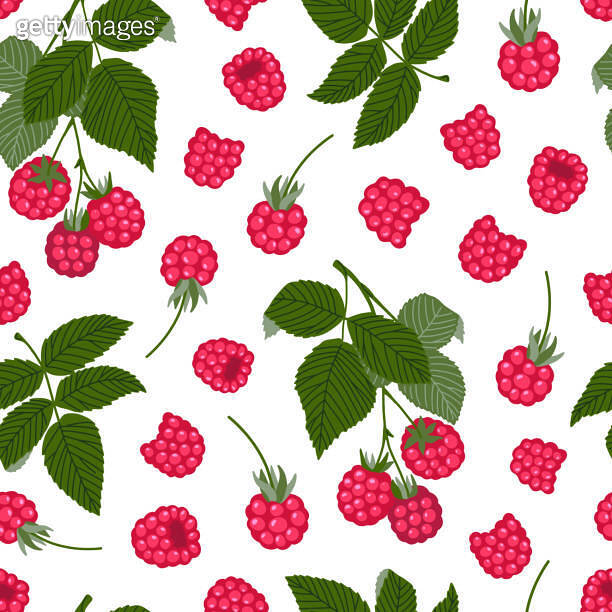 Botanical With Raspberry Patterns Raspberry vector seamless pattern. Sweet red forest berries and ...
