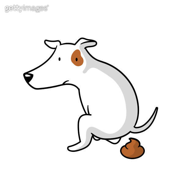 Pooping Dog 이미지 (1780363145) 게티이미지뱅크
