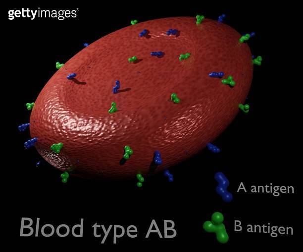 Blood type AB with Antigens present on the red cell surface 이미지