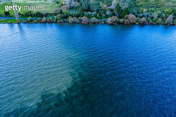 The Blue Lake in Rotorua 이미지 (1495570959) - 게티이미지뱅크