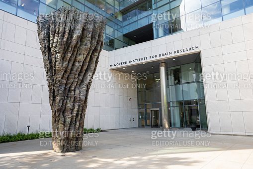 McGovern Institute for Brain Research at MIT 이미지 (1489876610) 게티이미지뱅크