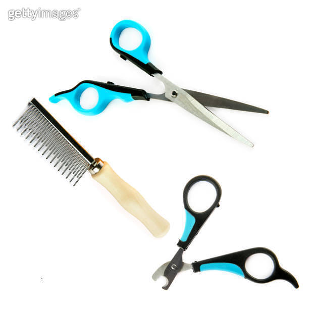 Scissors, claw cutter and comb for grooming dogs isolated on white