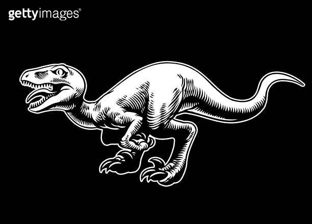 Angry Raptor Illustration in Black Background Vintage Style 이미지 ...