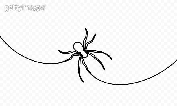 Continuous one line drawing of spider sits on the web vector design ...