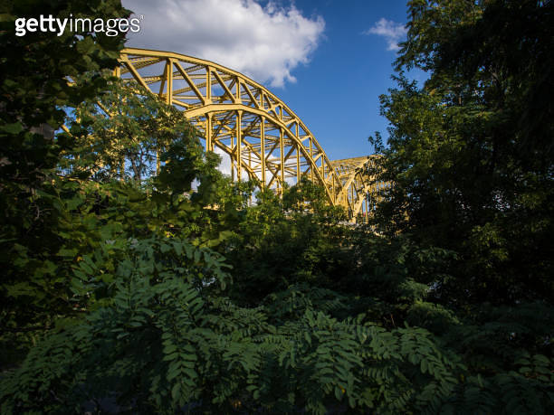 Yellow Bridge Tree Top of yellow Bridge in Pittsburgh behind green trees with blue sky ...