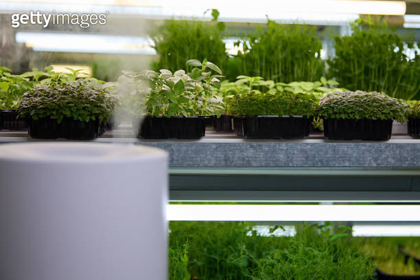 He100 Humidifer Insert Rack Automatic humidifier is placed on every rack shelf on the green farm ...