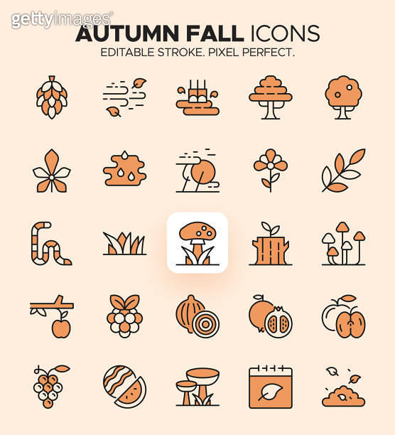 Fall Simbols Colorful Autumun Fall Icons - Fall Harvest and Orange Autumn Symbols ...
