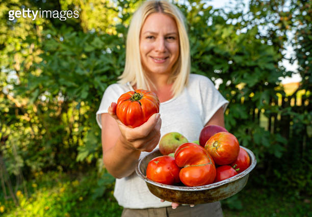 Beautiful young woman farmer, holding freshly picked organic tomatoes ...