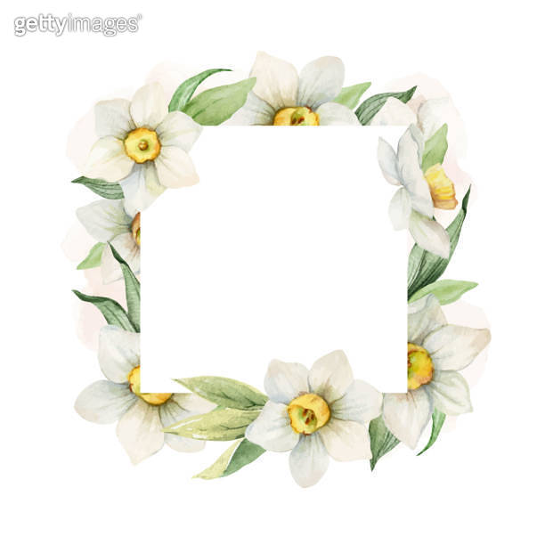 Watercolor vector flower frame with white flowers and greenery. Design