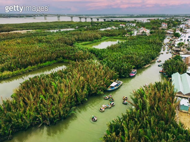 Drone View of Bay Mau Coconut forest, Vietnam 이미지 (1456798413) - 게티이미지뱅크