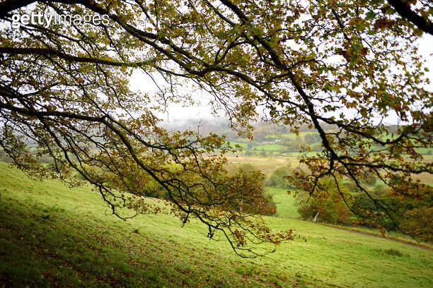 Aerial foggy view of the Lake District, famous for its glacial ribbon ...