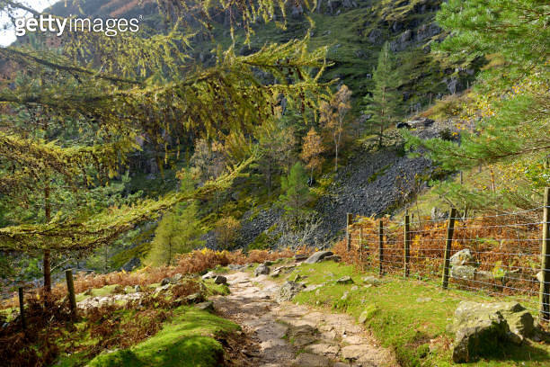 Scenic view of Great Langdale valley in the Lake District, famous for ...
