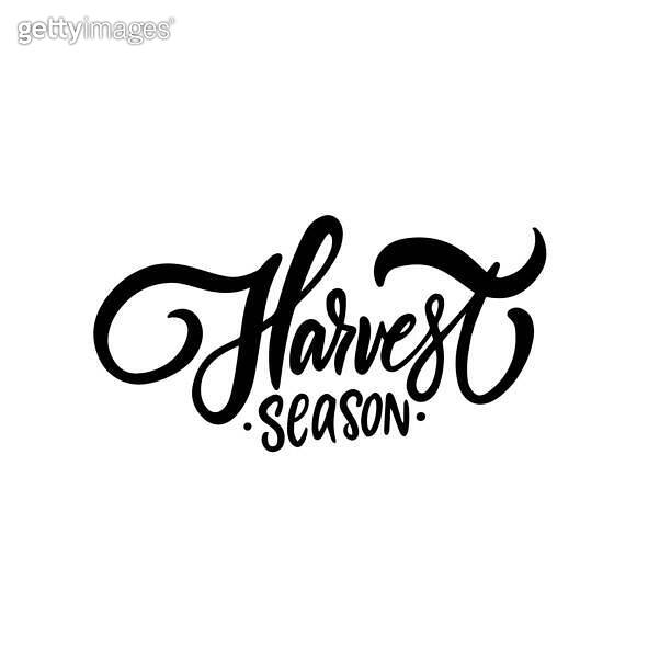 Harvest season black color autumn vacation lettering phrase. 이미지