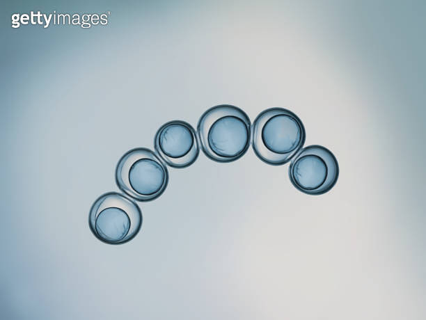 Cell divides into two cells 이미지 (1602462313) - 게티이미지뱅크
