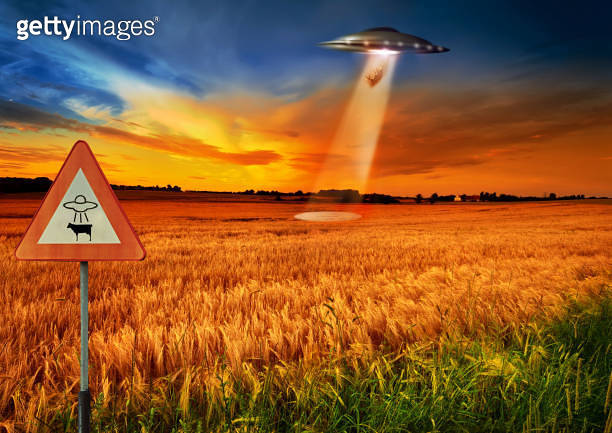 Cow abduction, ufo and spaceship light in countryside for mission ...