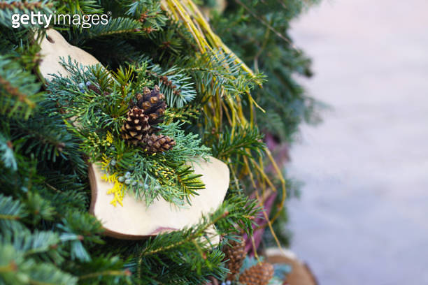 Christmas tree branch with cones. Green branches of a pine tree close ...
