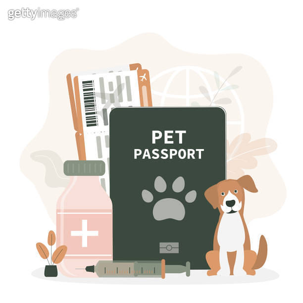 Vet passport, veterinary document that allows to travel with pet. Vet passport confirming