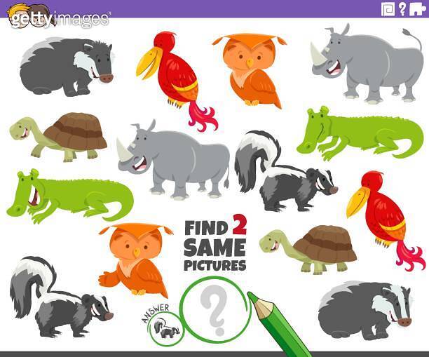 find two same cartoon animal characters activity game 이미지 (2156217166 ...