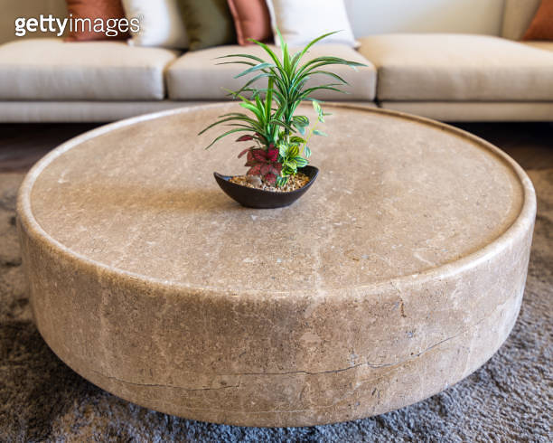 Potted plant on marble coffee table in modern living room, with sleek ...