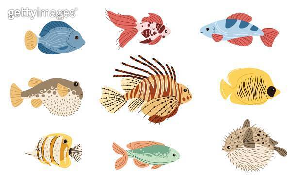 Set with hand drawn tropical fish. Inhabitants of the sea. Vector ...