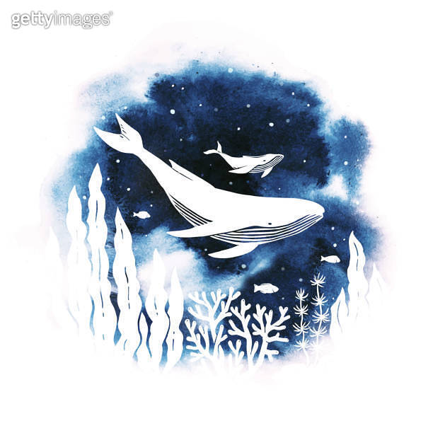 Vector illustration in a circle with mother and baby humpback whale ...