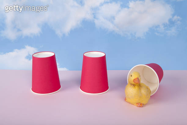 Three paper cups are used to play the game of bonneteau and a duck ...