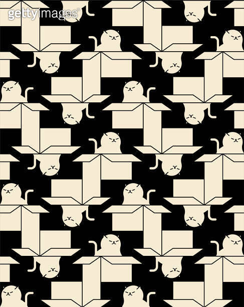 Cats in box Pattern seamless. Pet in cardboard box Background. House ...