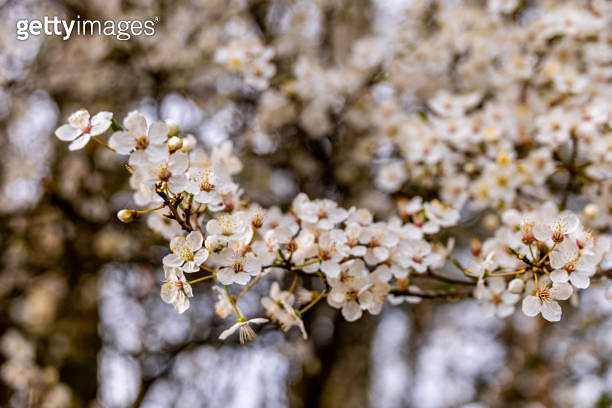 A wonderful spring hike through the beautiful Heldburger Land in the