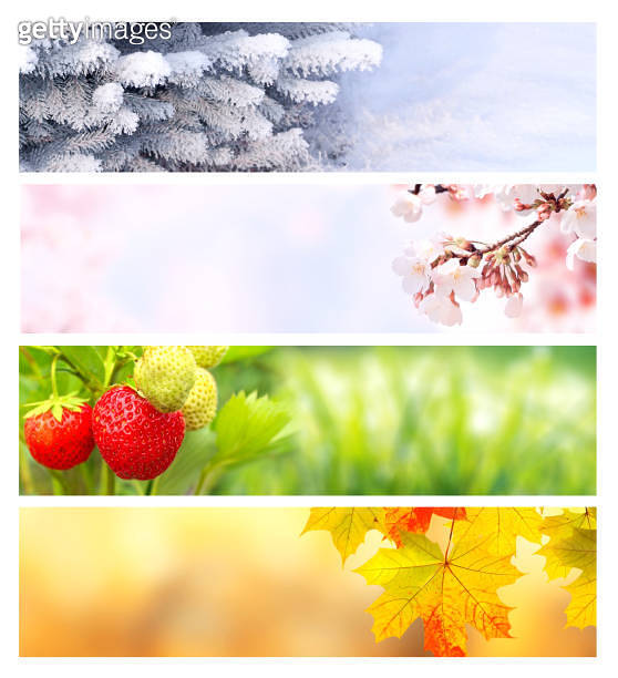 Four seasons of year. Set of horizontal nature banners with winter ...