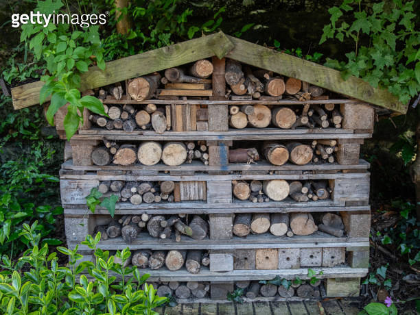 Bugs and beetles, moths and insects hotel - allowing these creatures to ...