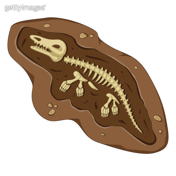 Dinosaur fossil skeleton bones, excavations of archeology isolated 이미지 ...