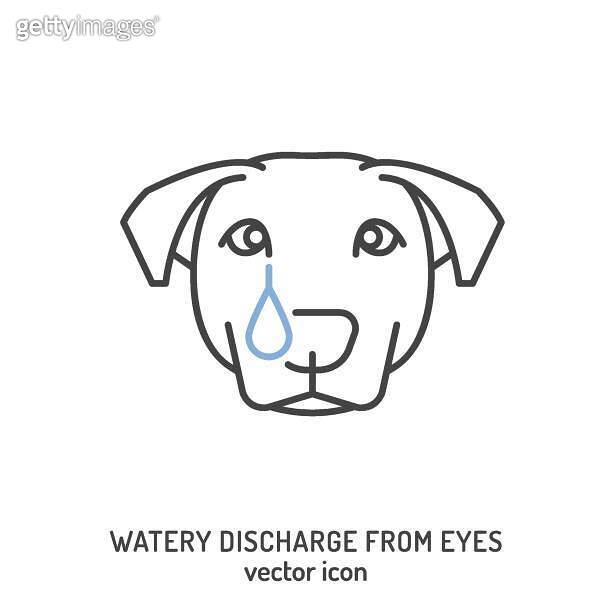 Watery discharge from dogs eyes. Common dog disease symbol. 이미지