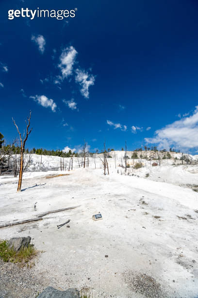 Angel Terrace at Mammoth Hot Springs in Yellowstone National Park ...