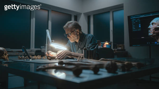 Fossilized Computer Archaeologist takes measurements of fossil bone under lamp, uses tablet ...