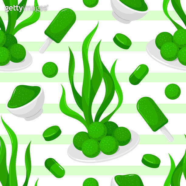 Spirulina seaweed seamless pattern green superfood marine mineral